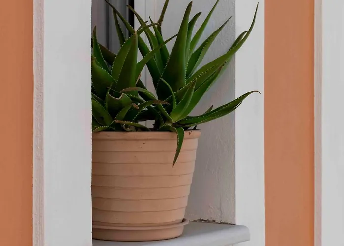 San Lazzaro 4* Nydri (Lefkada)