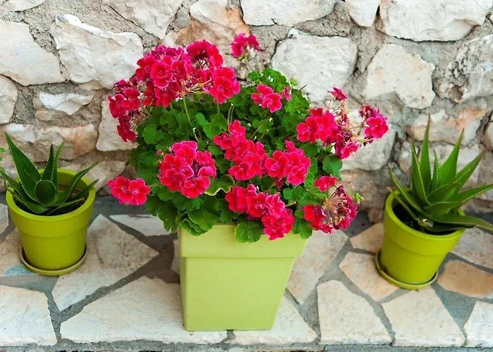 Hotel apartamentowy San Lazzaro 4*