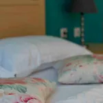 San Lazzaro 4* نيدري