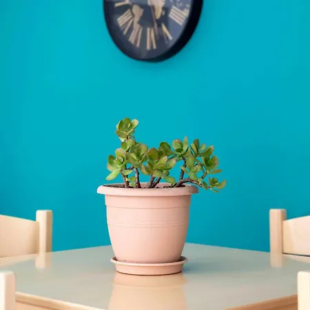 San Lazzaro شقة فندقية نيدري