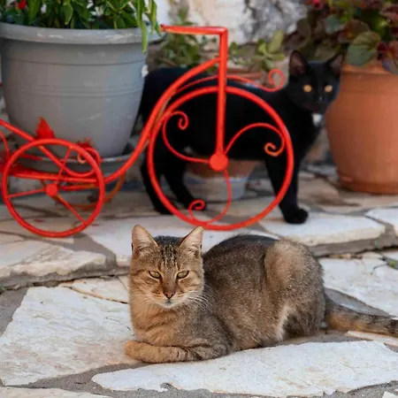 San Lazzaro نيدري