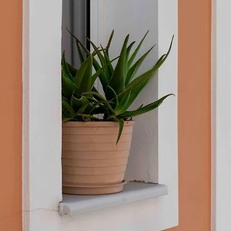 San Lazzaro 4* Nydri (Lefkada)