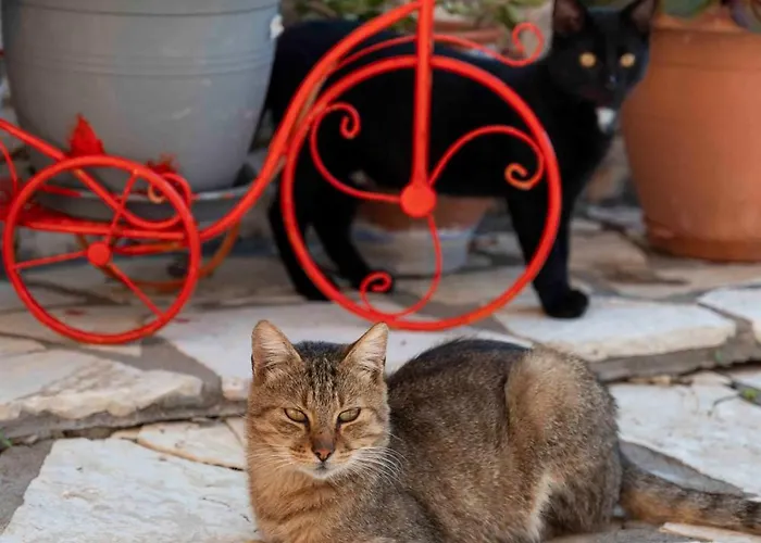 San Lazzaro Nydri (Lefkada)